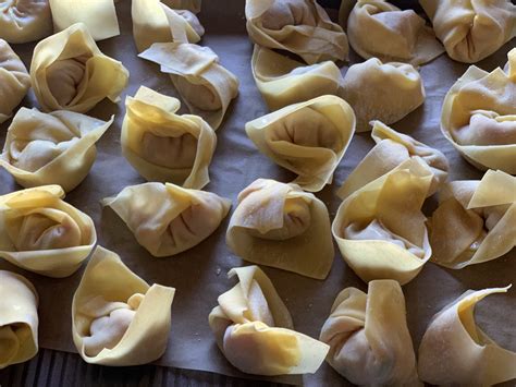 The Easiest And Most Versatile Wontons Hopscotch Mom