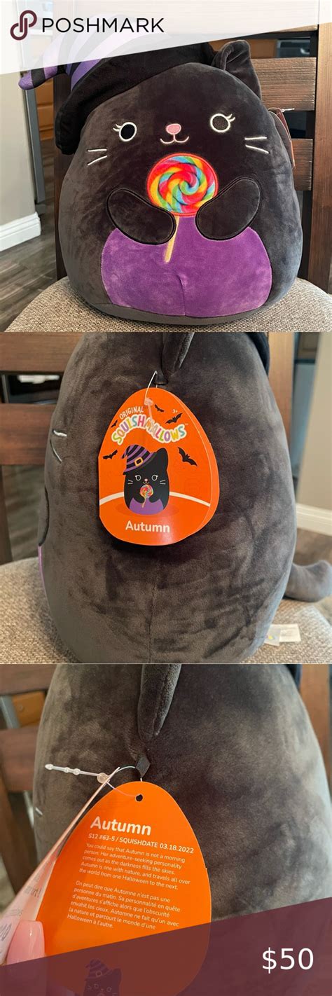 2022 Halloween Authentic Squishmallow Black Cat Witch In 2022 Black