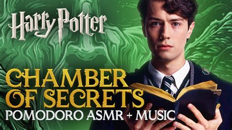 Harry Potter STUDY SESSION CHAMBER OF SECRETS Harry Potter Pomodoro