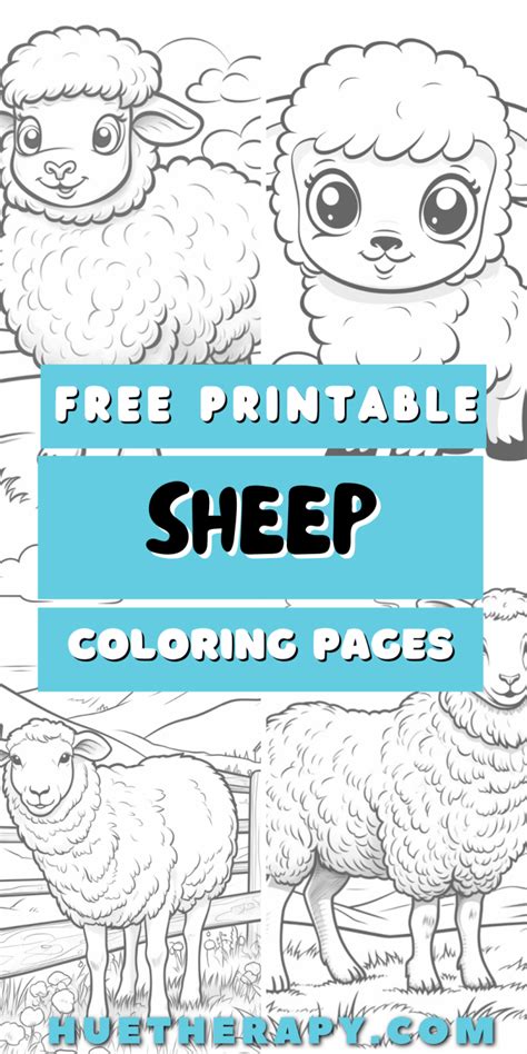 Sheep Coloring Pages Hue Therapy