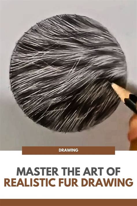 Master The Art Of Realistic Fur Drawing In 2023 Realistic Drawings