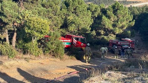 Sultangazi deki orman yangını kontrol altında