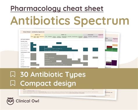 Antibiotics Spectrum Cheat Sheet Pharmacology Nursing - Etsy