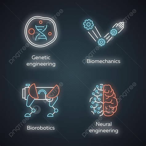 Iconos De Bioingeniería Para Biotecnología Y Biomecánica De Ingeniería Genética Y Neural Vector