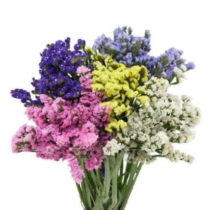 Purple Statice Flower | Wholesale Flowers in Bulk