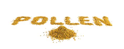 Pollen Grains Png Vector Psd And Clipart With Transparent Background