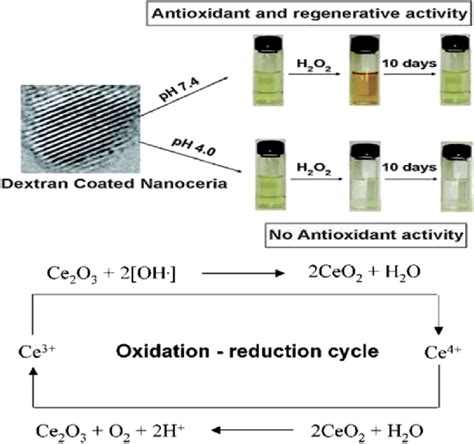 Top Color Change In Solutions Of Cerium Oxide Nanoparticle Coated With