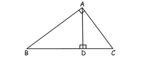 Reflexive Property Of Congruence