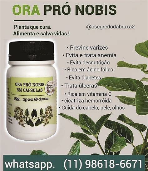 Ora pró nobis 500mg 60 Cápsulas O segredo da Bruxa