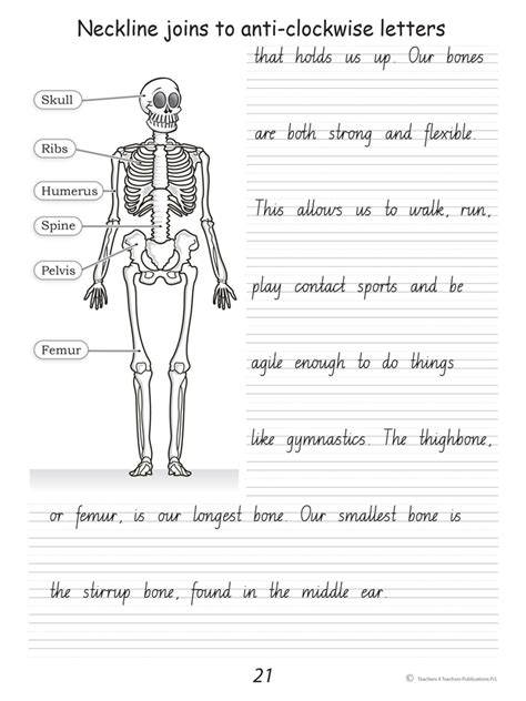 Handwriting Conventions Nsw Year 5 Teachers 4 Teachers 9780977575459 Educational