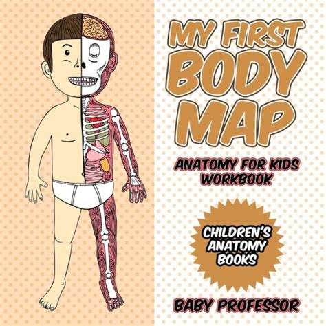 My First Body Map - Anatomy for Kids Workbook Children's Anatomy Books by Baby Professor ...