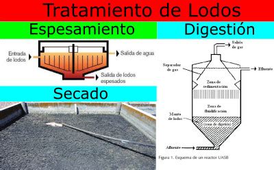 Tratamiento De Lodos Activados Y Residuales Procesos