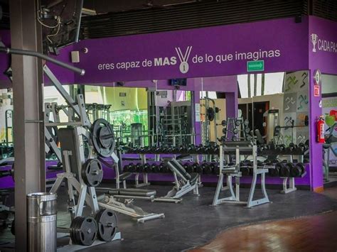 La Franquicia De Gimnasios Anytime Fitness Llega A León