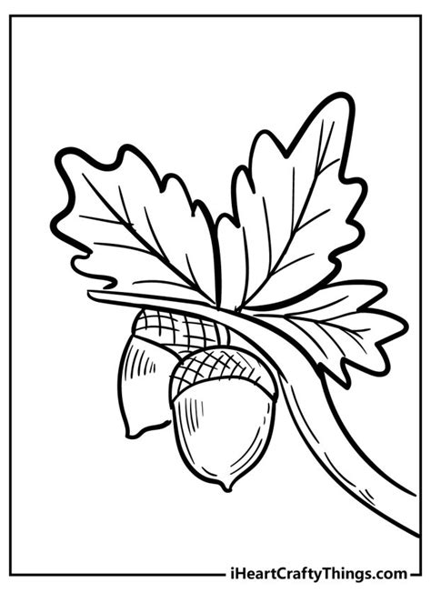 Acorn Coloring Pages 15 Free Pdf Printables To Download