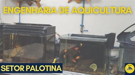 Engenharia De Aquicultura Ufpr Palotina Youtube