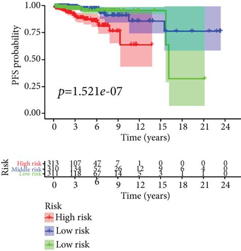 Construction And Verification Of A Breast Cancer PFS Nomogram