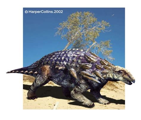 Edmontonia Pictures & Facts - The Dinosaur Database