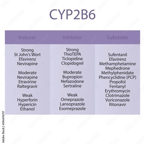 Grafika Wektorowa Stock Cytochrome Cyp B Table Of Strong Moderate