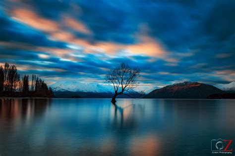 Wanaka Tree New Zealand Oc 5101x3401