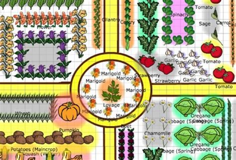 19 Vegetable Garden Plans And Layout Ideas That Will Inspire You