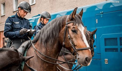 Policja Konna Z Psami I Armatk Wod Tak Zabezpieczano Mecz Gks U