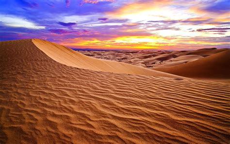 desert ecosystem wallpapers wallpaper cave