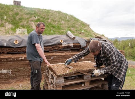 Construction Of A Viking House Pjodveldisbaer Iceland Stock Photo Alamy