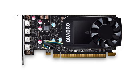 Nvidia Quadro P620 Overview Professional Graphics Card Gigabyte