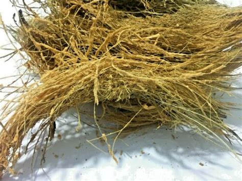 Coconut Husk Fiber Natural Coir Orchid Anthurium Planting Organic