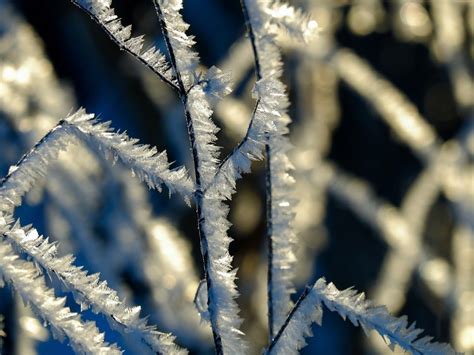 le froid extreme acheve