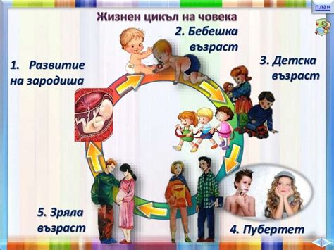 36. Развитие на човека - ЧП, 4 клас, Булвест