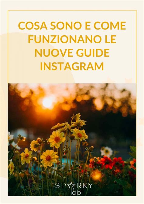 Cosa Sono E Come Funzionano Le Nuove Guide Instagram Agenzia Digital Seo E Marketing Bergamo