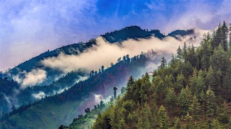 Himalayas Mountain Fog Forest 4K 5550f Wallpaper IPhone Phone