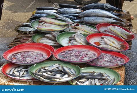 Traditional Fish Market In Puger East Java Indonesia Stock Image