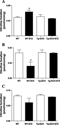 Endothelium Specific GTP Cyclohydrolase I Overexpression Accelerates