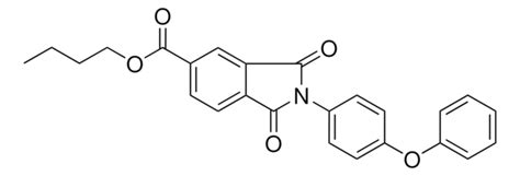 1 3 DIOXO 2 4 PHENOXY PH 2 3 DIHYDRO 1H ISOINDOLE 5 CARBOXYLIC ACID