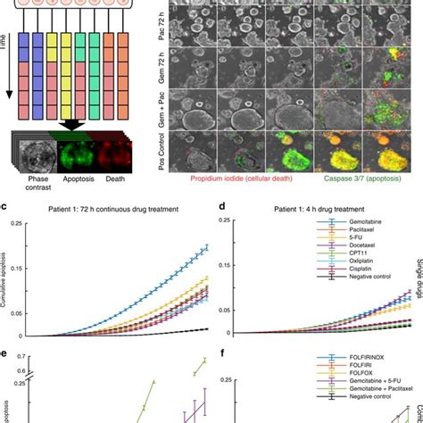 Human Tumor Organoid Culture And Growth On Microfluidic Platform A