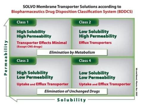 Biopharmaceutical Drug Disposition Classification System Knowledge Center Solvo Biotechnology