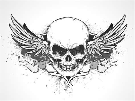 Human Skull Three Quarter View Pencil Drawing Style Stock