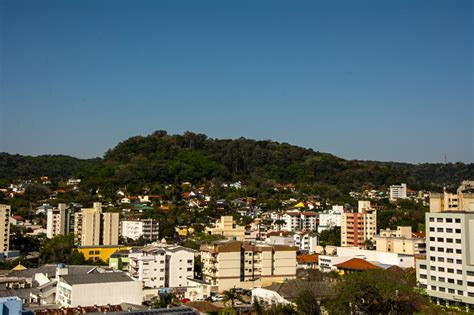 Cintur O Verde Ser O Tema Central Da Semana De Meio Ambiente