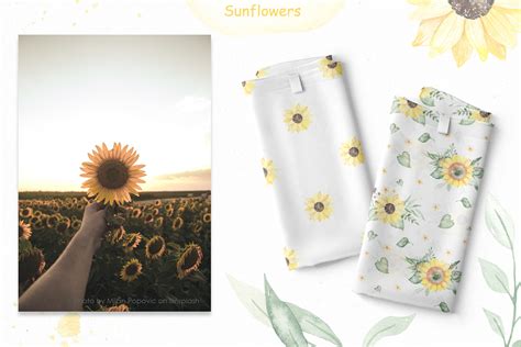 Sunflowers watercolor collection on Behance