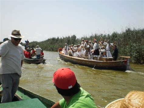 S Ntesis De Art Culos Como Llegar A La Albufera Desde Valencia