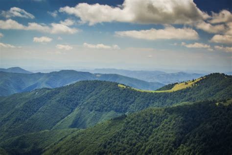 Krasna Stock Photos, Pictures & Royalty-Free Images - iStock