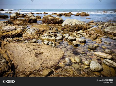 Tide Pools On Pacific Image And Photo Free Trial Bigstock