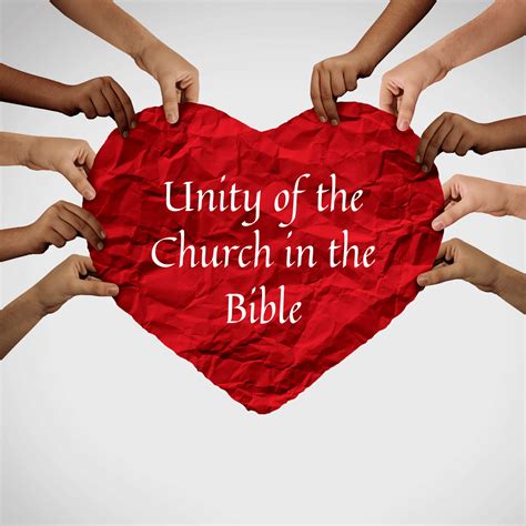 Unity Of The Church In The Bible