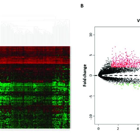 Heat Map A And Volcano Plot B Of Differentially Expressed LncRNAs