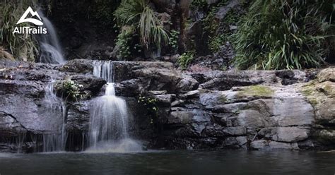 10 Best Camping Trails In Lamington National Park Alltrails