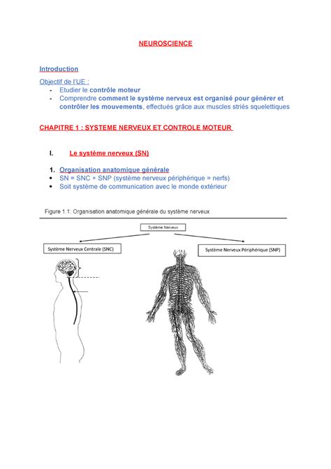 CM1 Notes De Cours 1 NEUROSCIENCE Introduction Objectif De LUE