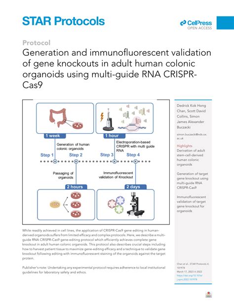 Pdf Generation And Immunofluorescent Validation Of Gene Knockouts In