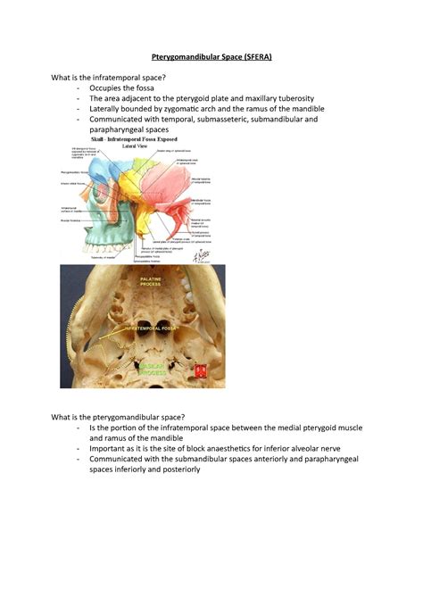 Pterygomandibular Space Shape Of A Triangular Prism Medial Medial